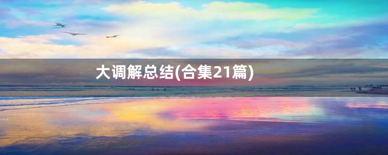 大调解总结(合集21篇)