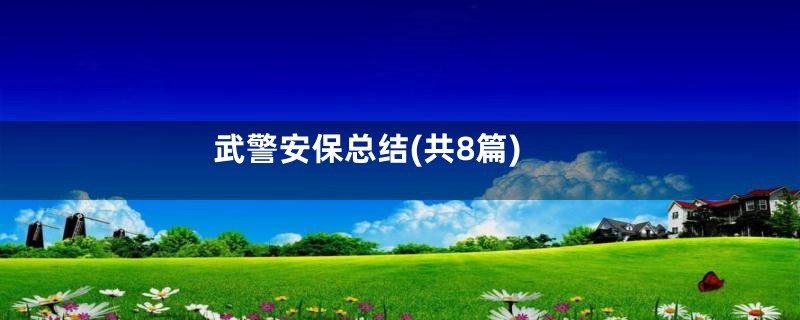 武警安保总结(共8篇)