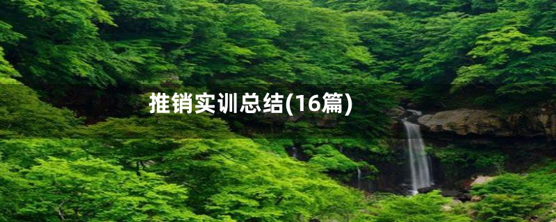 推销实训总结(16篇)