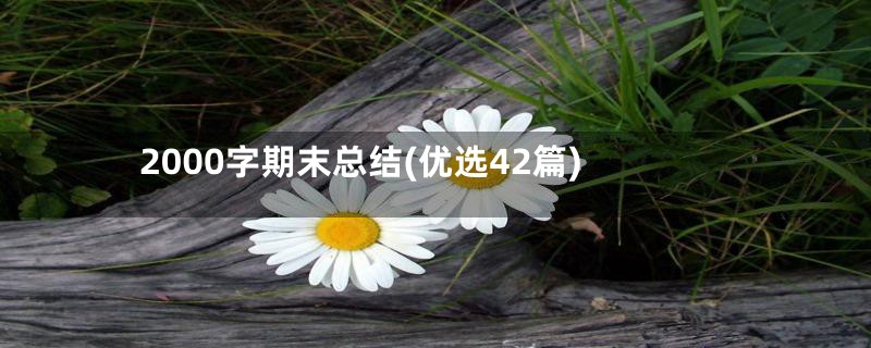 2000字期末总结(优选42篇)