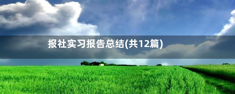 报社实习报告总结(共12篇)