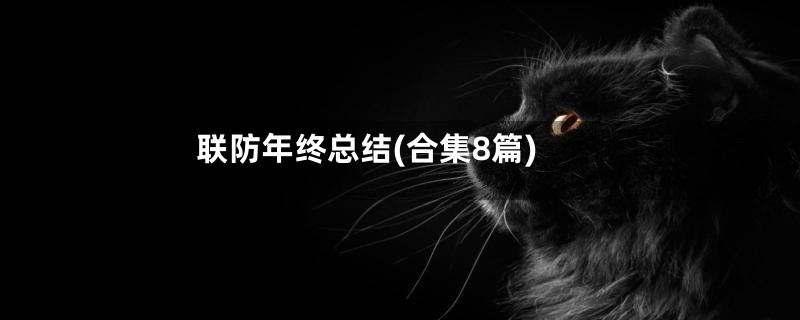 联防年终总结(合集8篇)