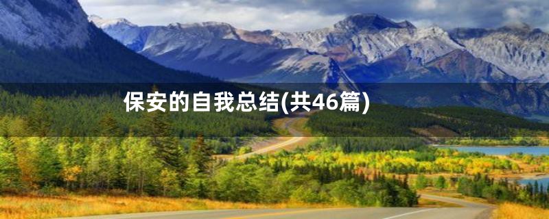 保安的自我总结(共46篇)