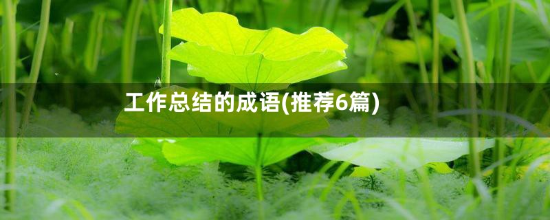工作总结的成语(推荐6篇)