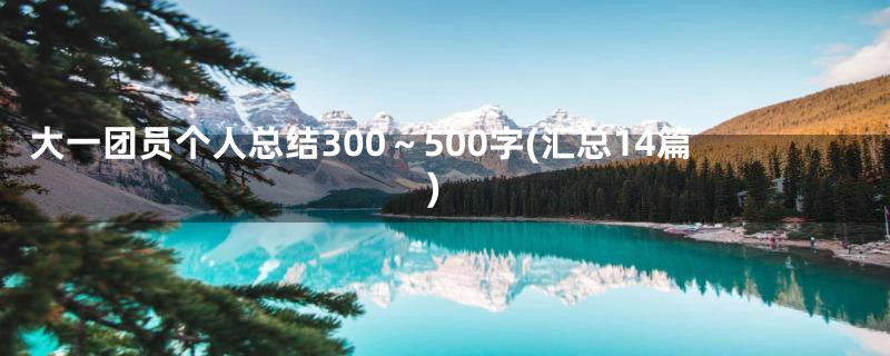 大一团员个人总结300～500字(汇总14篇)