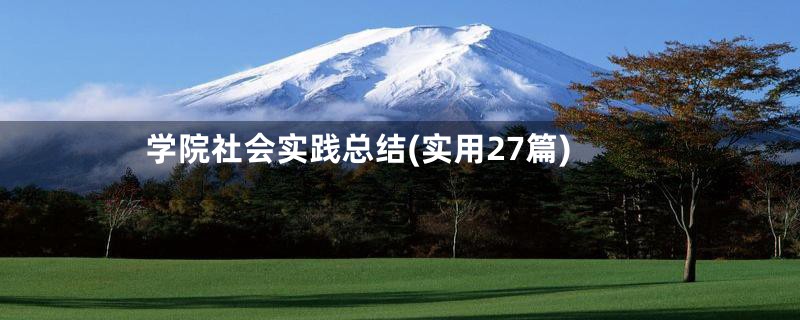 学院社会实践总结(实用27篇)