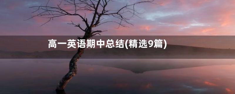 高一英语期中总结(精选9篇)