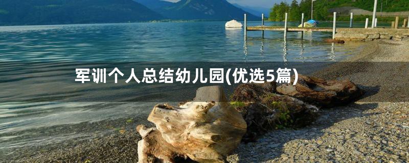 军训个人总结幼儿园(优选5篇)