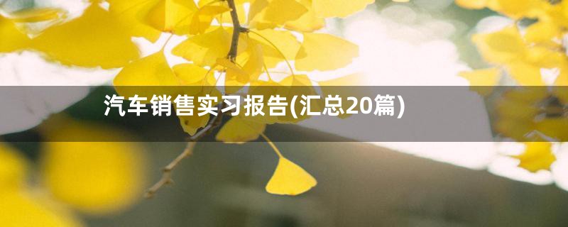 汽车销售实习报告(汇总20篇)