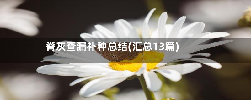 脊灰查漏补种总结(汇总13篇)