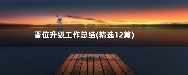 晋位升级工作总结(精选12篇)