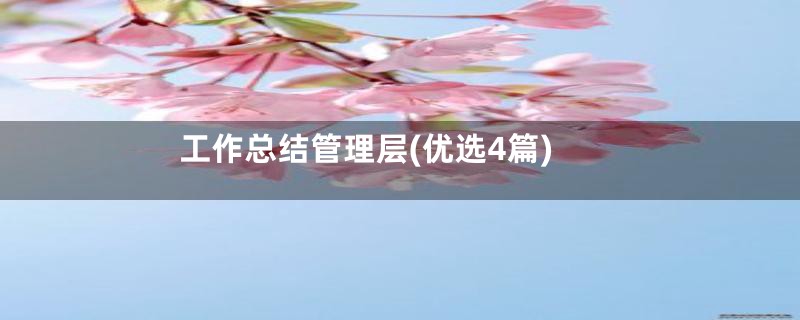 工作总结管理层(优选4篇)
