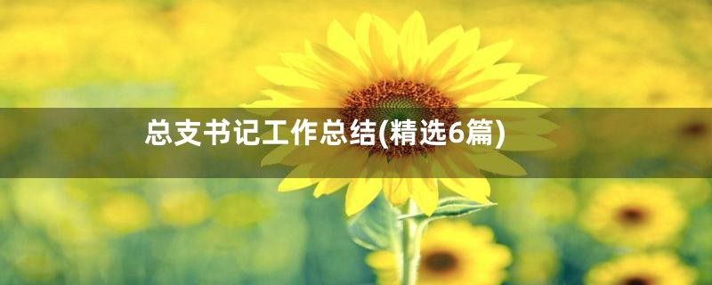 总支书记工作总结(精选6篇)