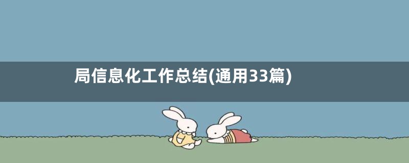 局信息化工作总结(通用33篇)