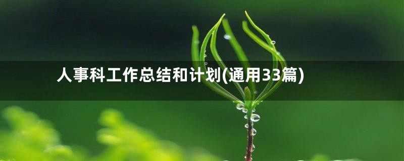 人事科工作总结和计划(通用33篇)