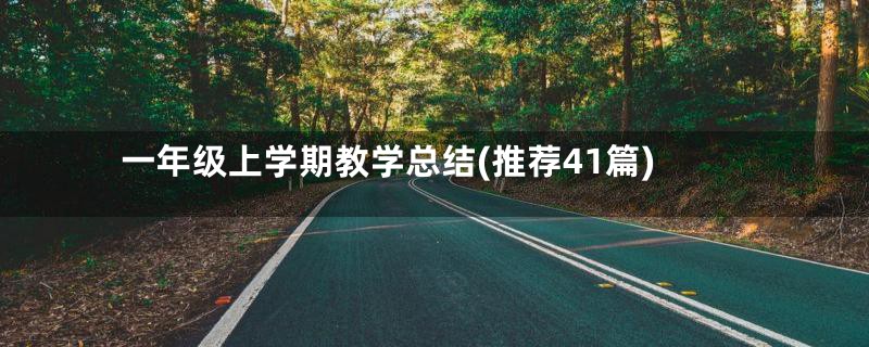 一年级上学期教学总结(推荐41篇)