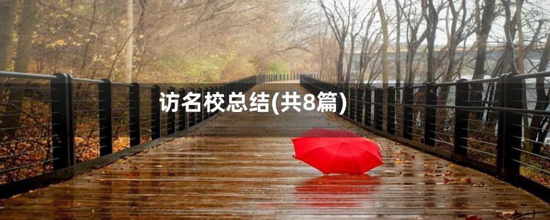 访名校总结(共8篇)