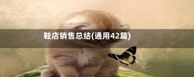 鞋店销售总结(通用42篇)