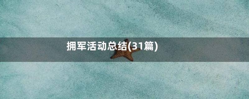 拥军活动总结(31篇)