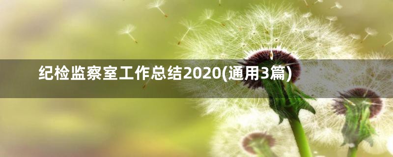 纪检监察室工作总结2020(通用3篇)