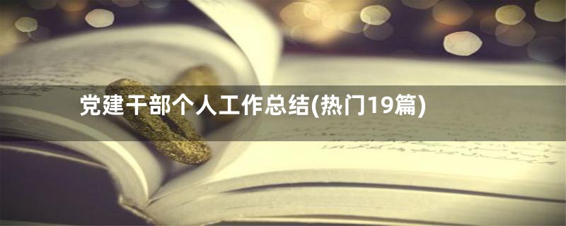 党建干部个人工作总结(热门19篇)