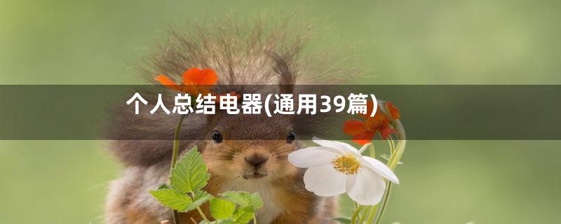 个人总结电器(通用39篇)