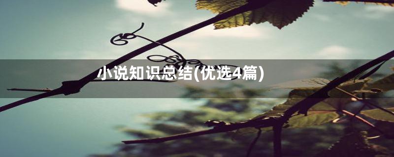 小说知识总结(优选4篇)
