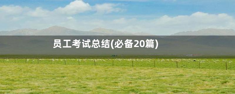 员工考试总结(必备20篇)