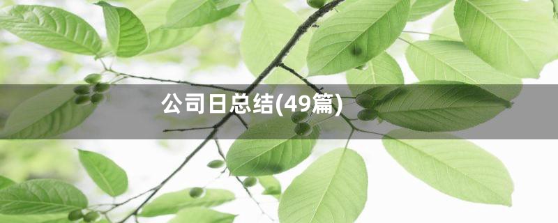 公司日总结(49篇)
