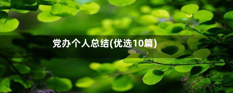 党办个人总结(优选10篇)