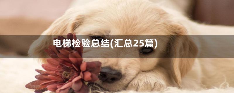电梯检验总结(汇总25篇)