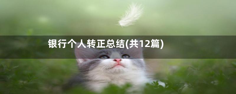 银行个人转正总结(共12篇)