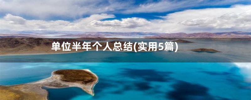单位半年个人总结(实用5篇)
