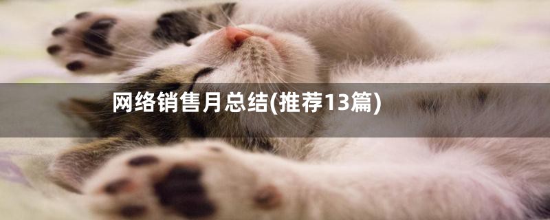 网络销售月总结(推荐13篇)