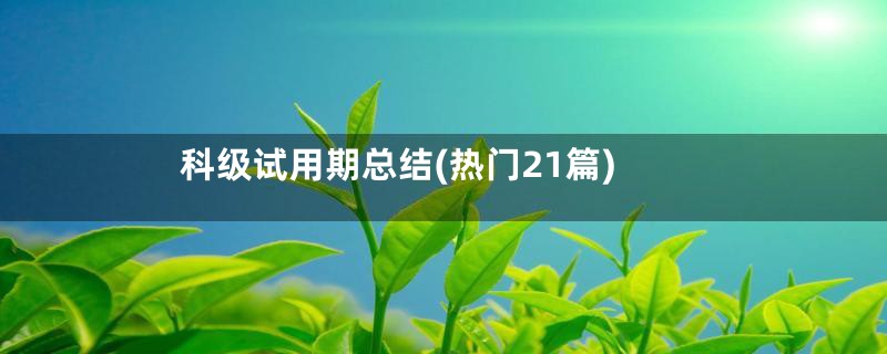 科级试用期总结(热门21篇)