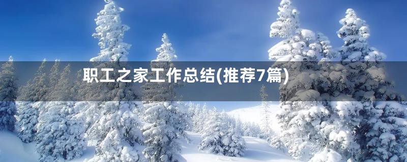 职工之家工作总结(推荐7篇)