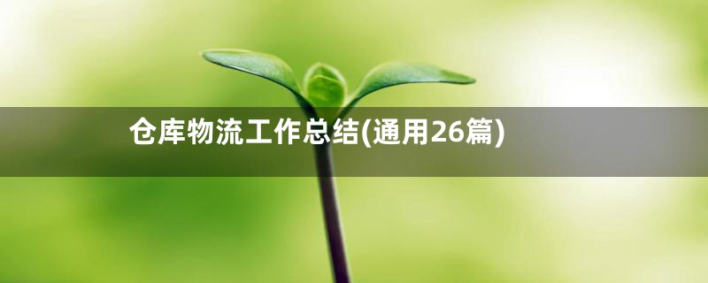 仓库物流工作总结(通用26篇)