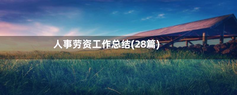 人事劳资工作总结(28篇)