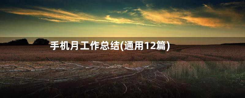 手机月工作总结(通用12篇)