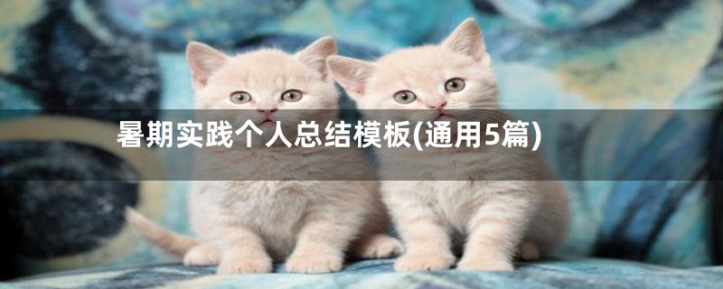 暑期实践个人总结模板(通用5篇)