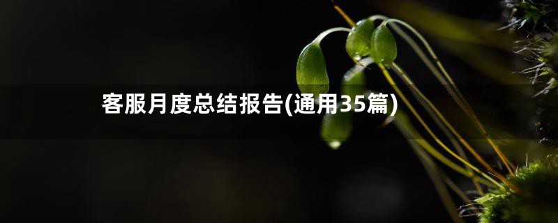 客服月度总结报告(通用35篇)