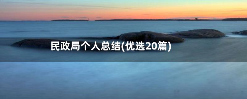 民政局个人总结(优选20篇)