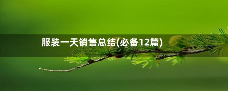 服装一天销售总结(必备12篇)
