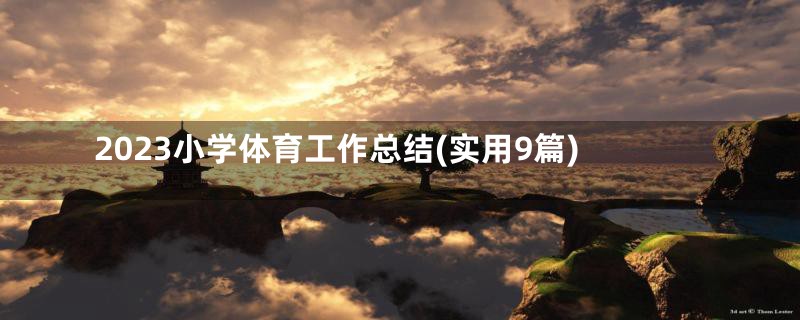 2023小学体育工作总结(实用9篇)
