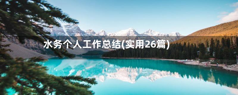 水务个人工作总结(实用26篇)