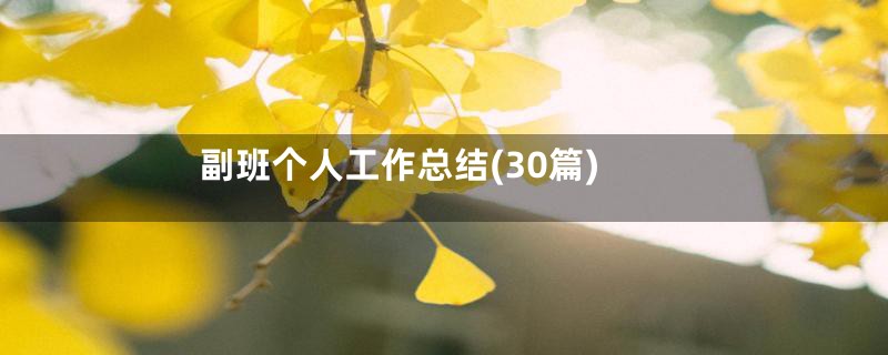 副班个人工作总结(30篇)
