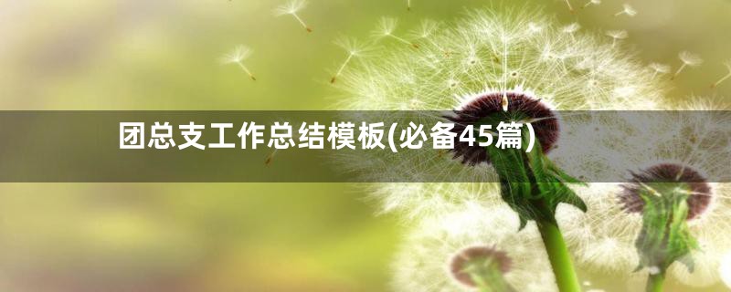 团总支工作总结模板(必备45篇)