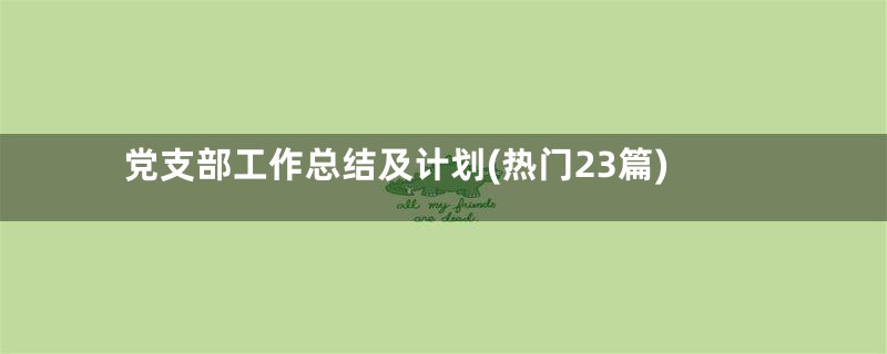 党支部工作总结及计划(热门23篇)