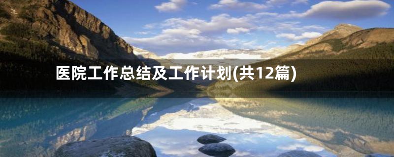 医院工作总结及工作计划(共12篇)