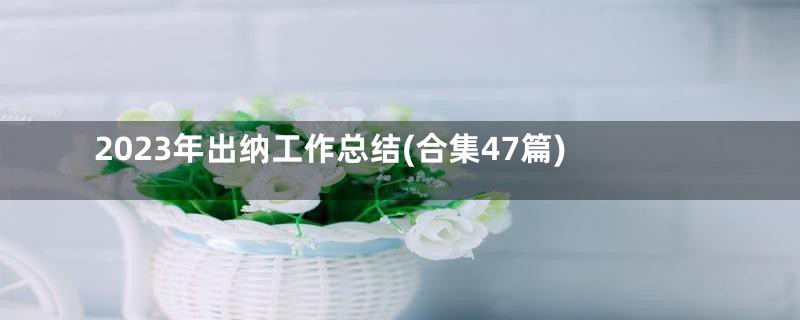 2023年出纳工作总结(合集47篇)